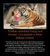 Porównanie jak najbardziej trafne ...