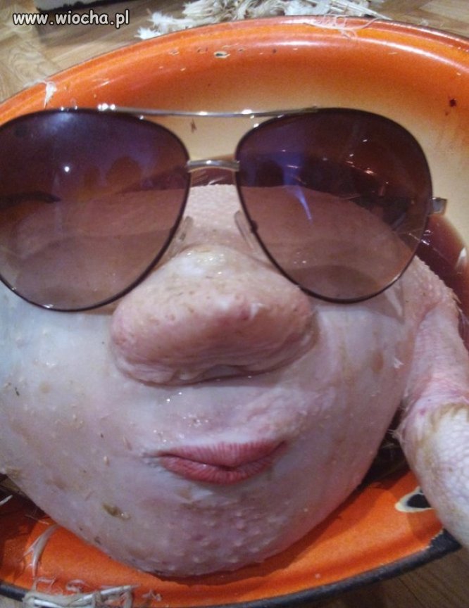 Niecodzienne selfie.