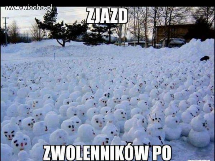 Zjazd zwolenników zielonej wyspy.
