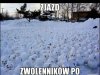 Zjazd zwolenników zielonej wyspy.