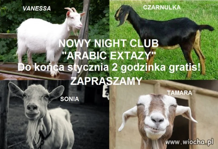 A Może by tak zarobić... 