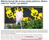 Wypowiedź  "polaka"