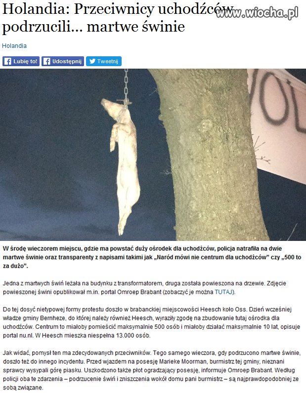 I tak jest w całej Europie