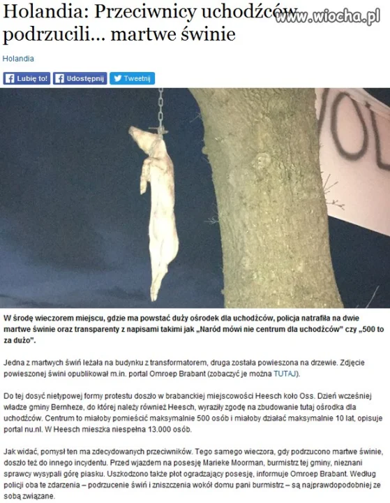 I tak jest w całej Europie