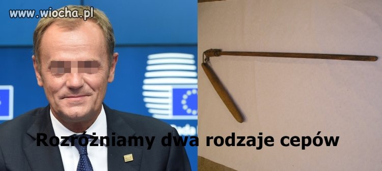 Polityk PO i CEP