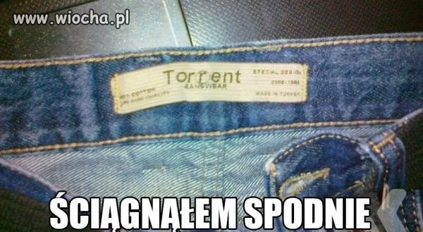 Spodnie