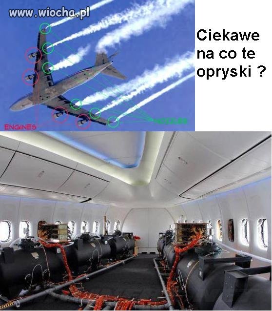 No własnie na co ?