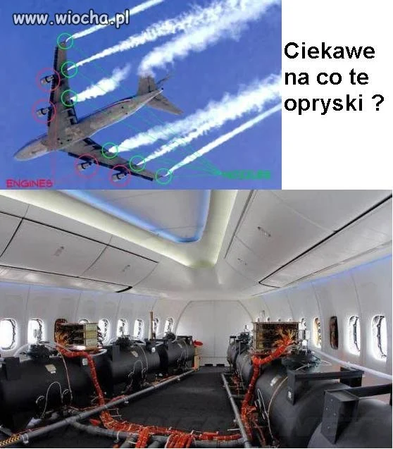 No własnie na co ?