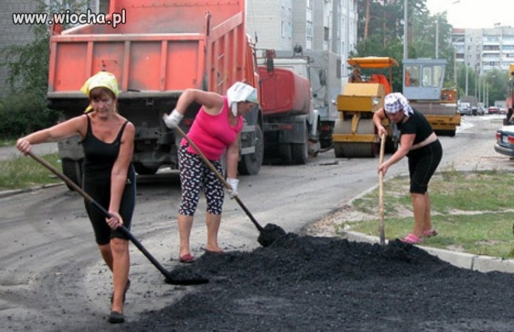 Żadna praca nie hańbi 
