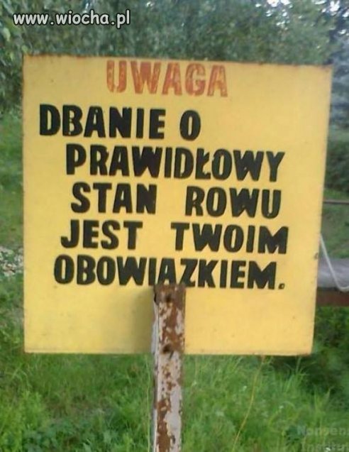 Życiowa inspiracja