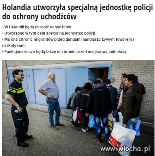 Lewackiego absurdu ciąg dalszy.