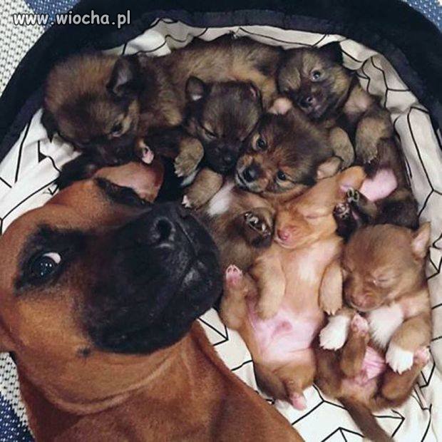 Selfe mamy z dziećmi.