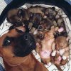Selfe mamy z dziećmi.