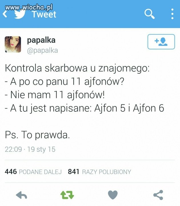 Kontrola skarbowa
