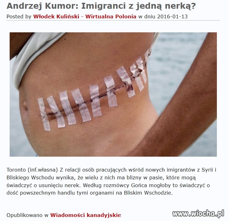 Teraz wiadomo skąd mają kasę