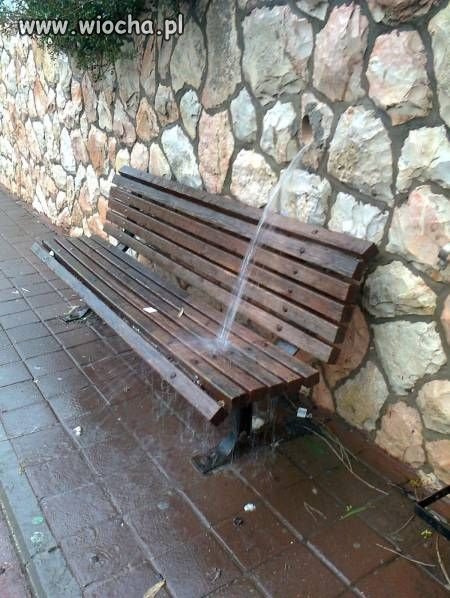 Zaufaj mi wiem co robie