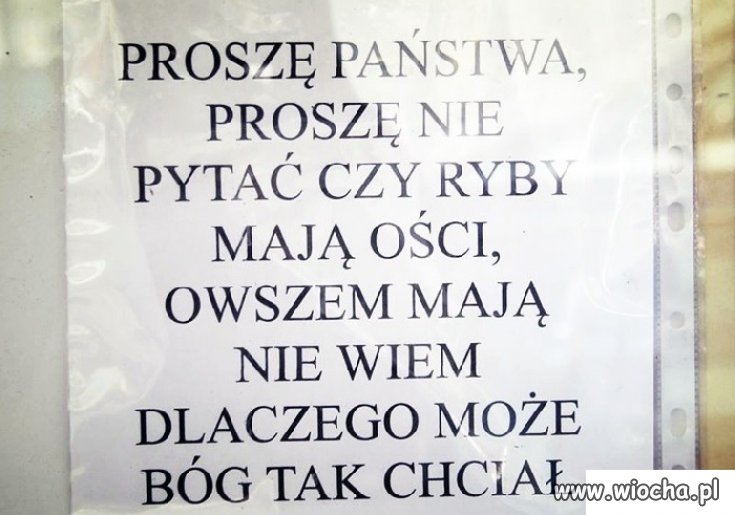 Bóg tak chciał