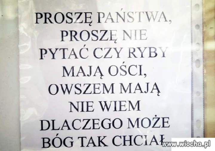 Bóg tak chciał