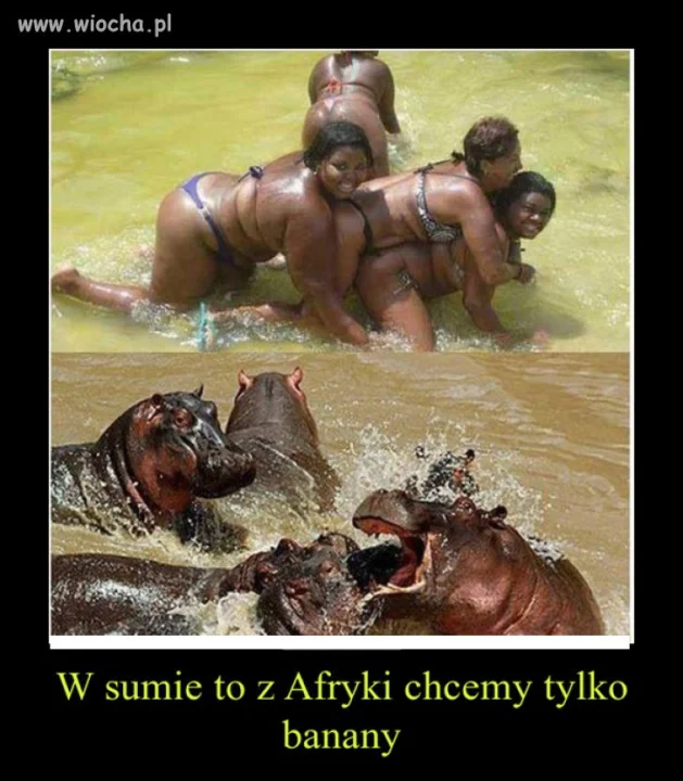 W Afryki najlepsze są banany 