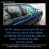 Głupota nie zna granic