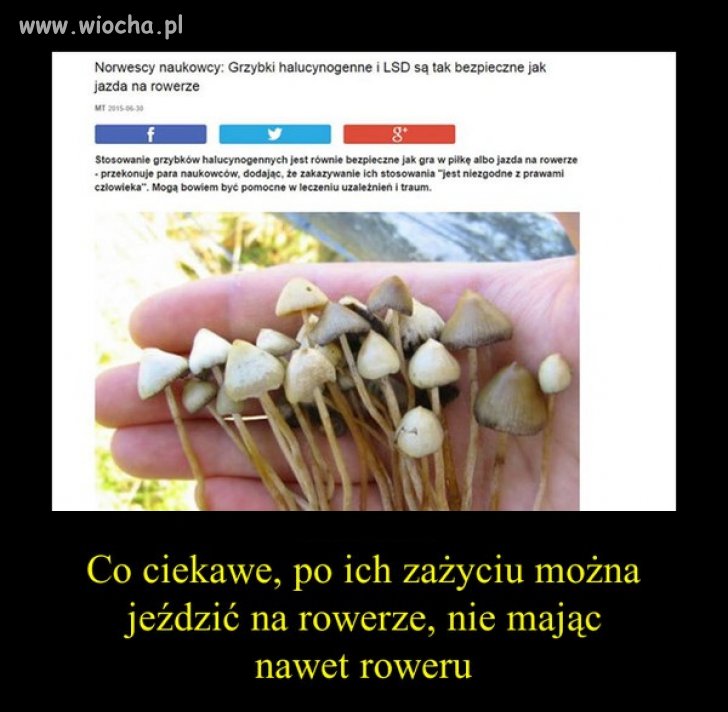Norwescy naukowcy i ich nowa teoria