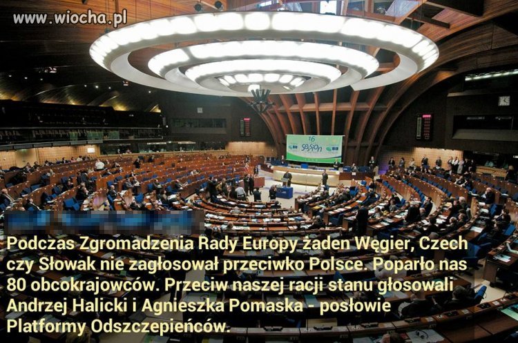 Takie tam info...