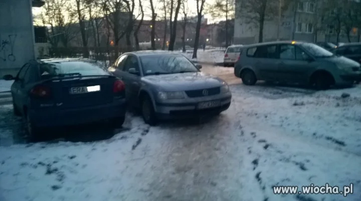 Za takie parkowanie powinni zabierać prawo jazdy,