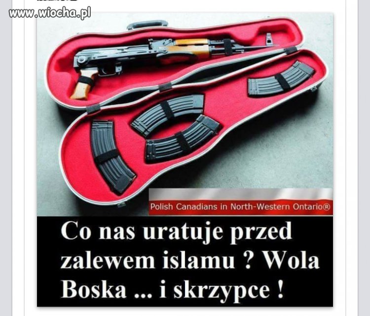 Kocham skrzypce.