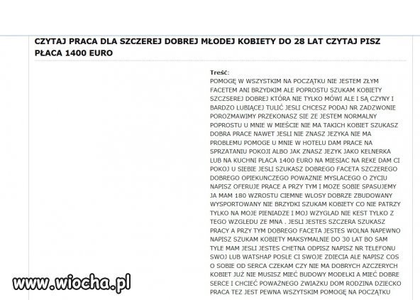 Ciekawa oferta pracy w Niemczech