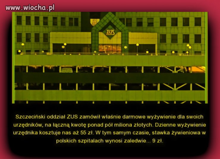 Bo są równi i równiejsi