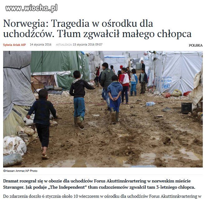 Jeszcze więcej uchodzców!!! - rzekł lewacki baran