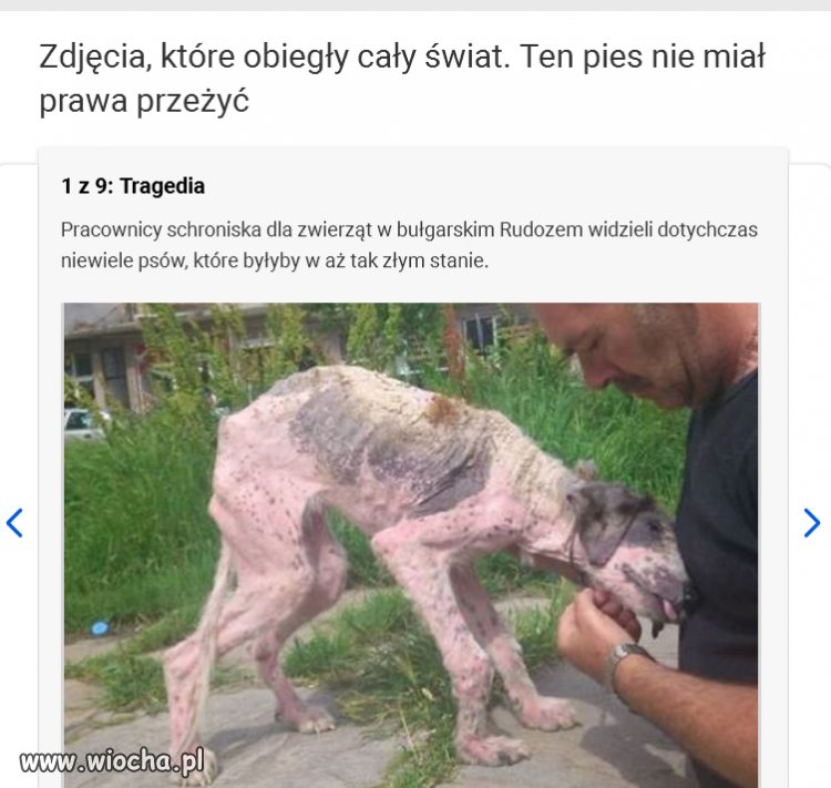 Ten co to zrobił to zwykły skur... i frajer