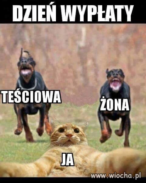 Jakie to życiowe