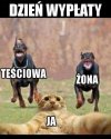Jakie to życiowe