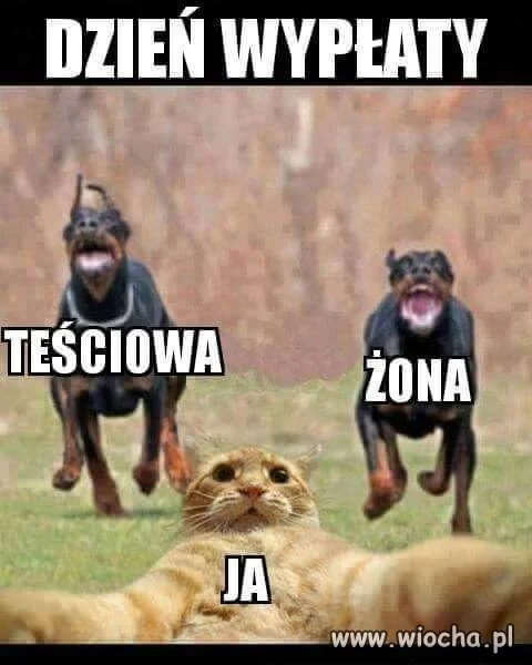 Jakie to życiowe