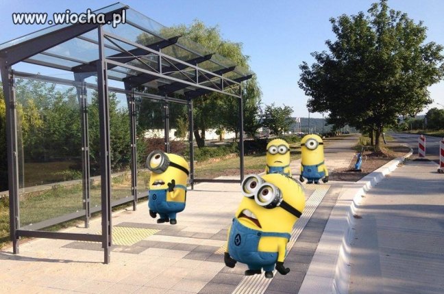 Gospodarność... 