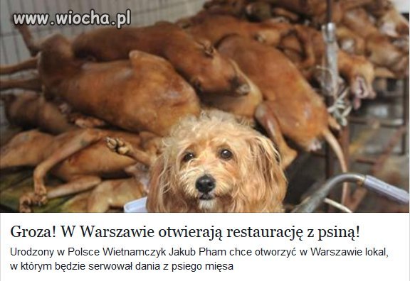 Postęp?