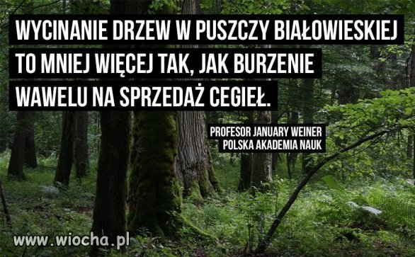 Bez komentarza