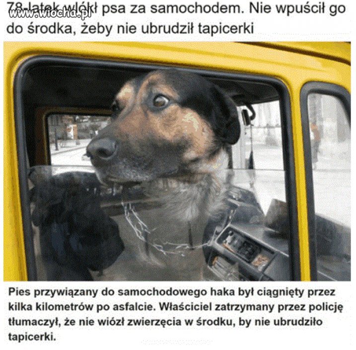 Podły dziadyga.