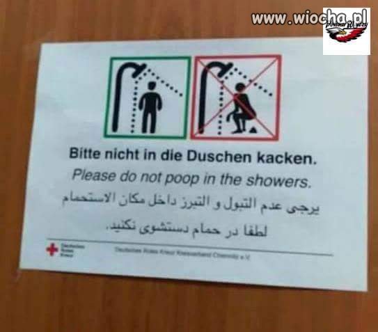 Instrukcja dla emigrantów