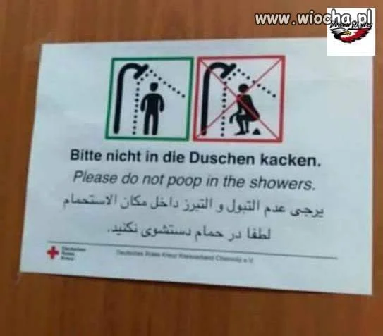 Instrukcja dla emigrantów