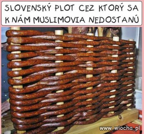 Najlepszy płot na Muzułmanów.