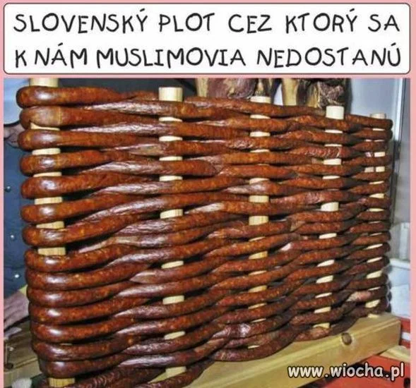 Najlepszy płot na Muzułmanów.