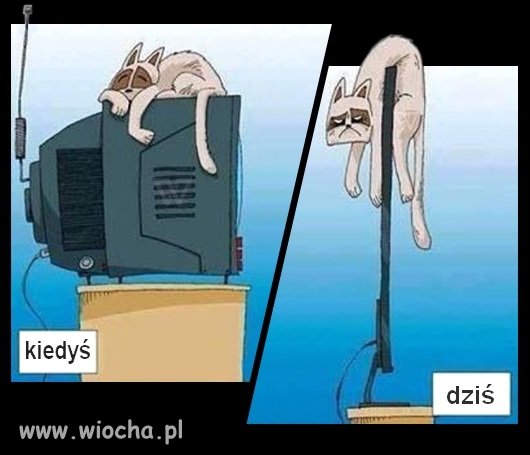 Idziemy z duchem czasu