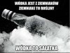 Wódeczka