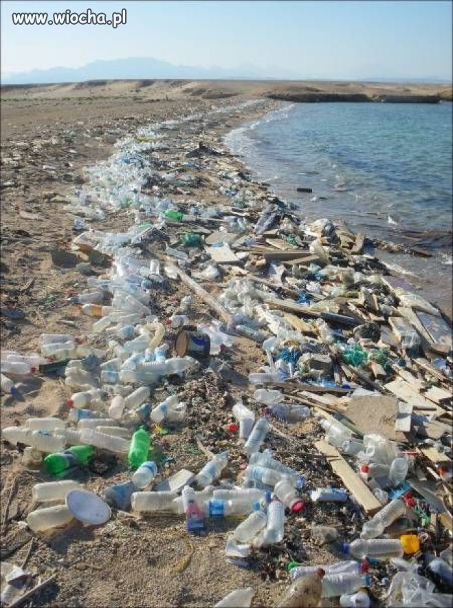 Plaża, dzika plaża