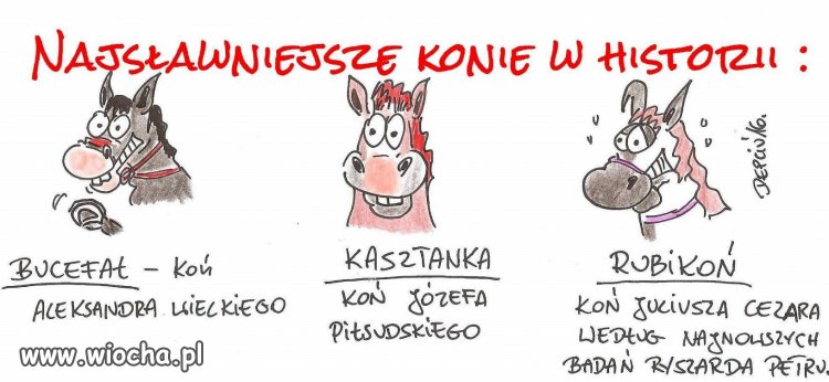 Słynne konie