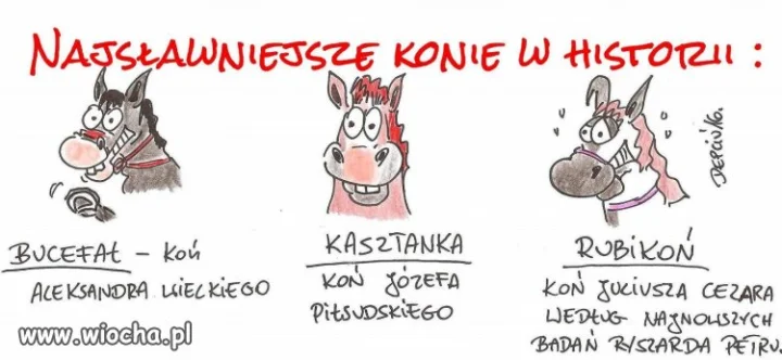 Słynne konie