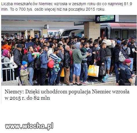 Co za brednie.