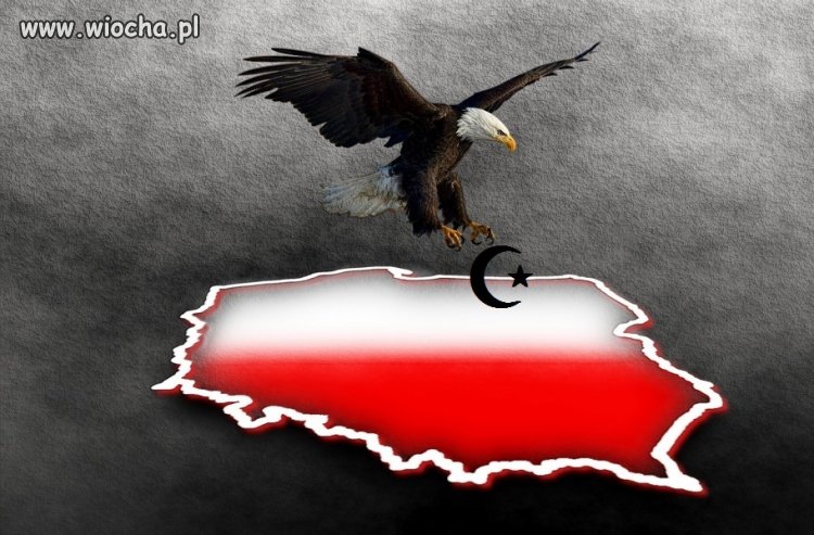 Zaczyna się... 